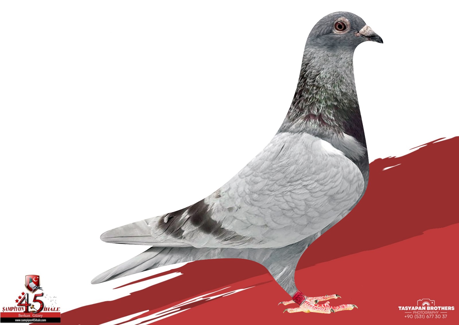 RO-17-533071 K.H. WİCHERT VAN DYCK