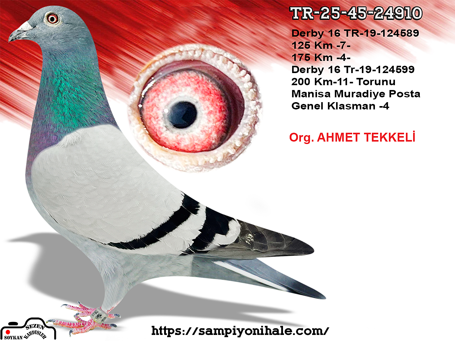 TR-25-45-24910 ORG AHMET TEKKELİ 