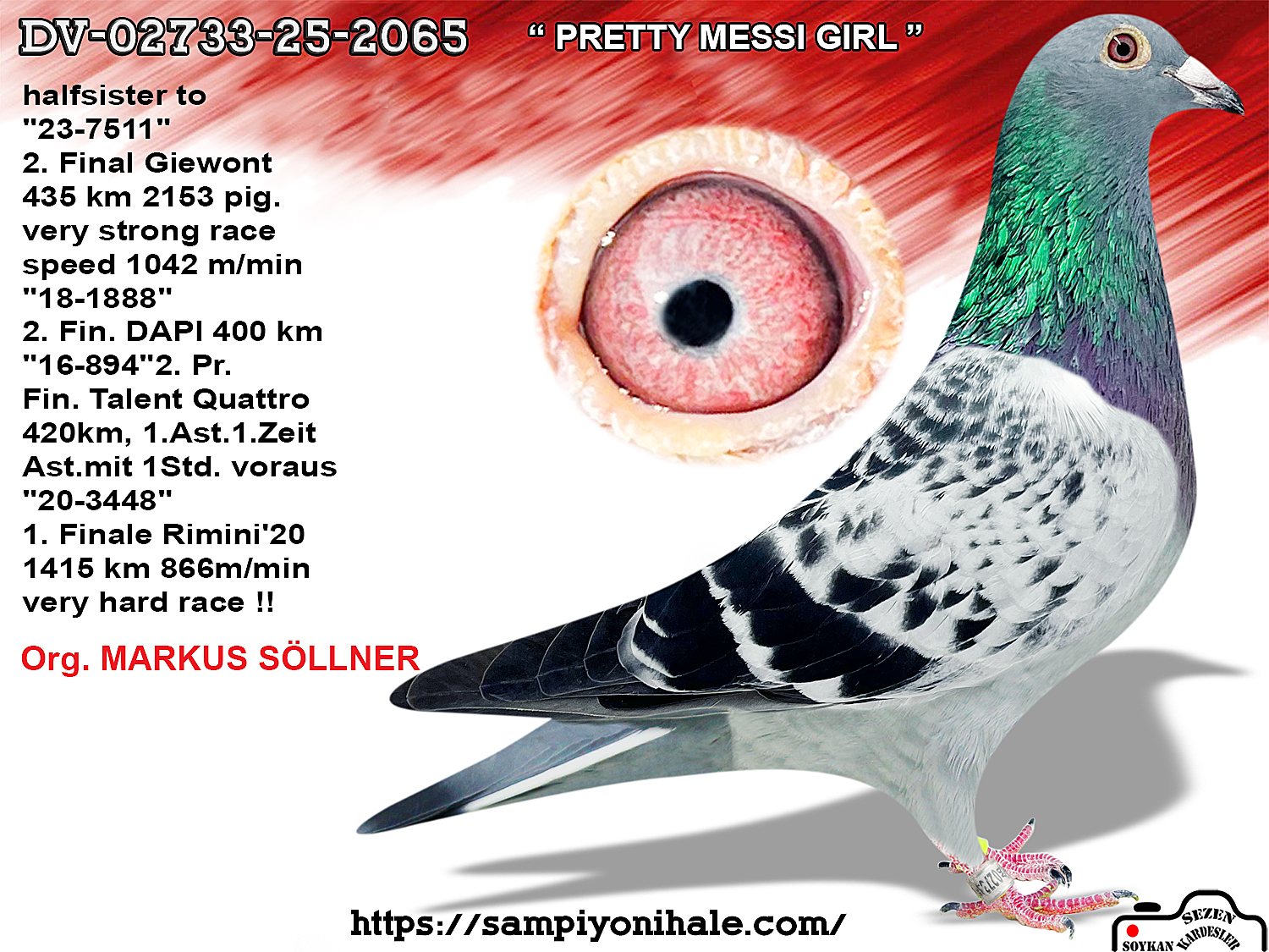 DV-02733-25-2065 MARKUS SÖLLNER 