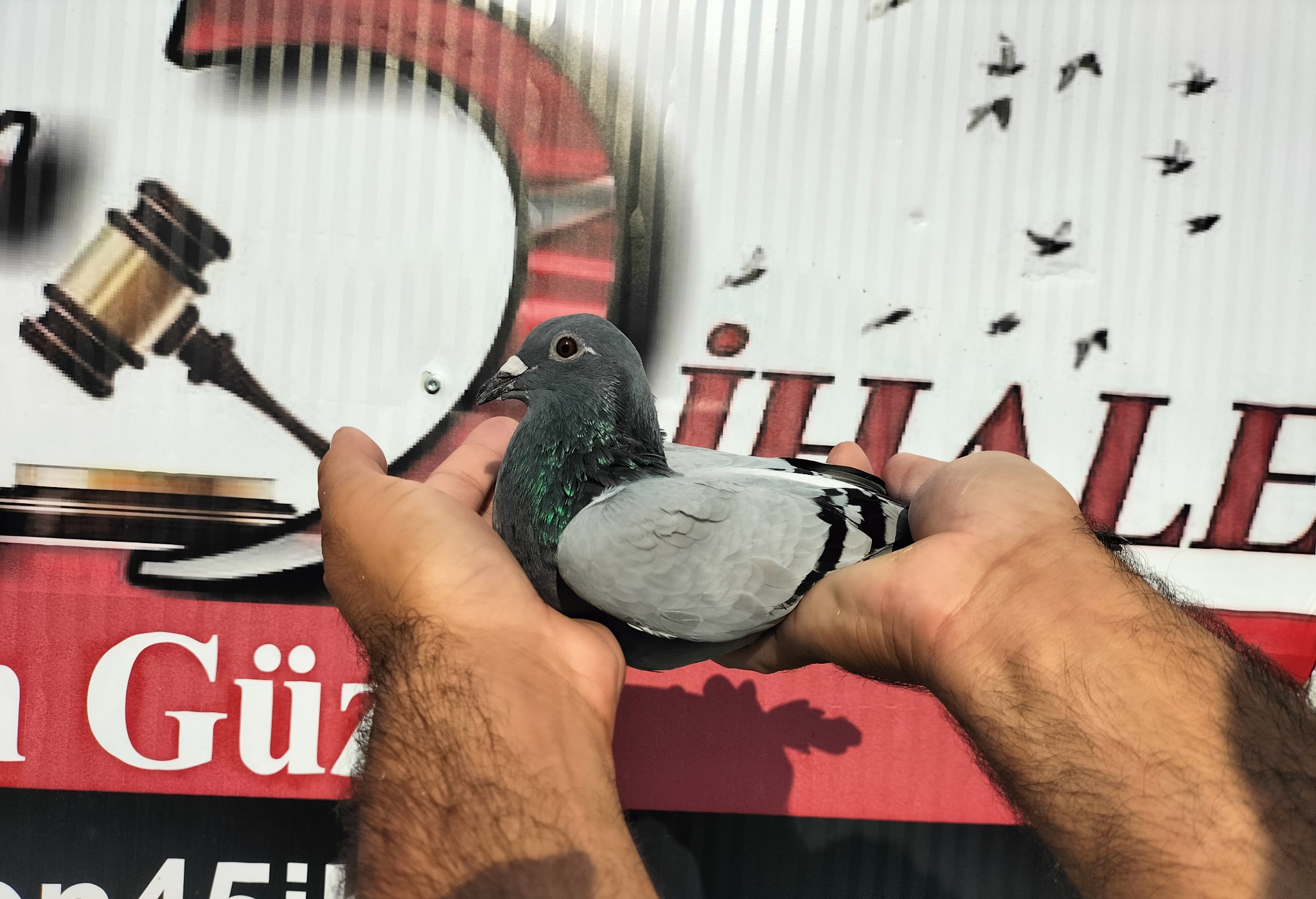 TR-10-04061 NECMİ ÇAKAR 