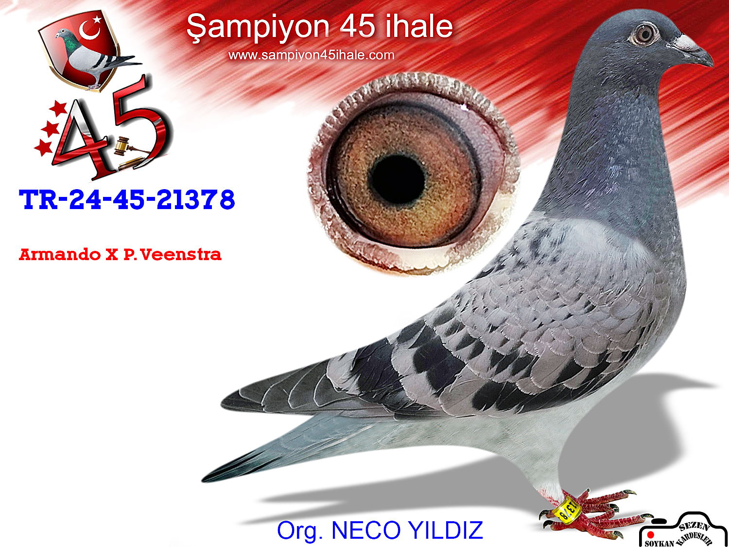 TR24-45-21378 DİŞİ