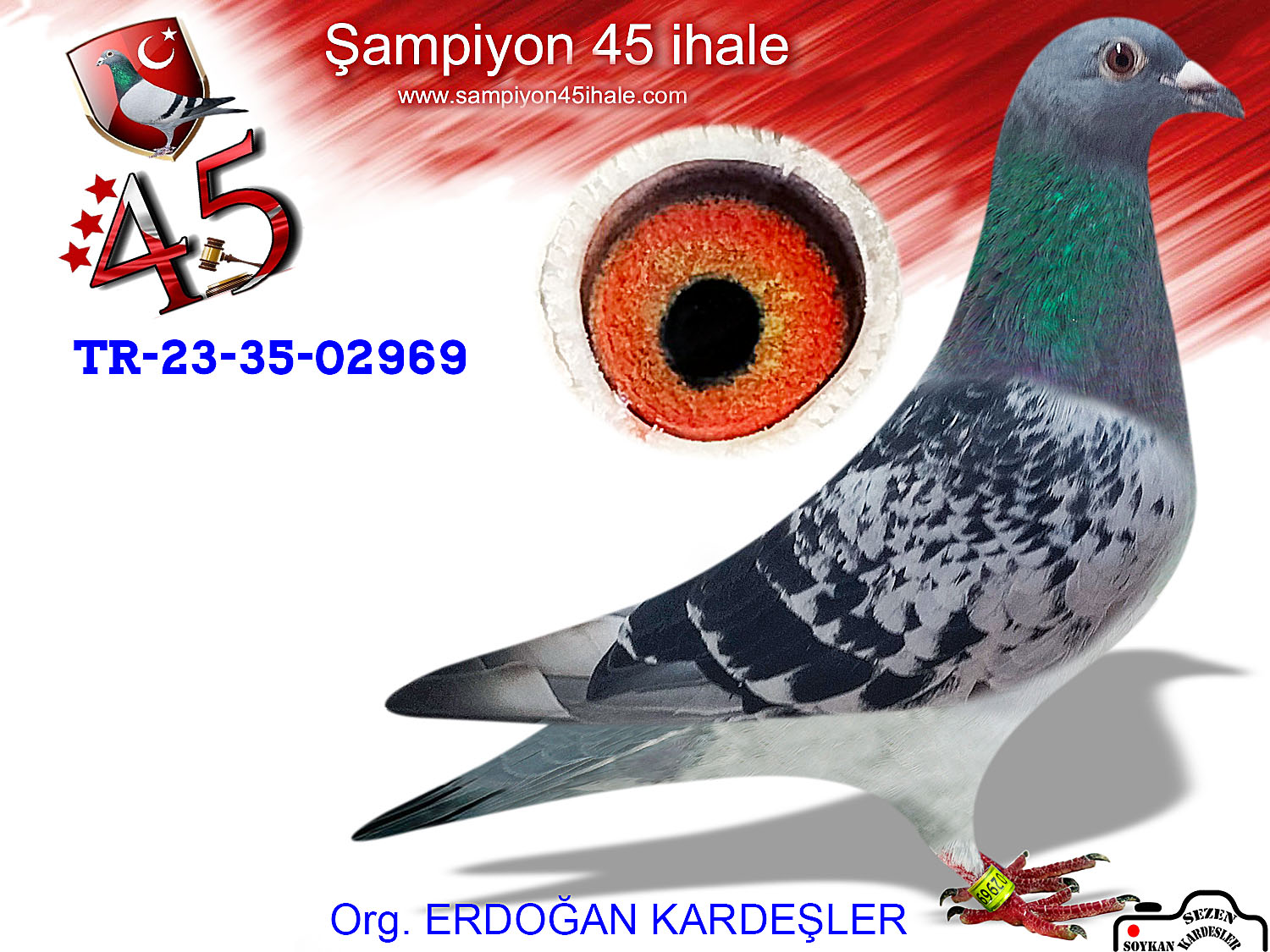 TR-23-35-02969 DİŞİ