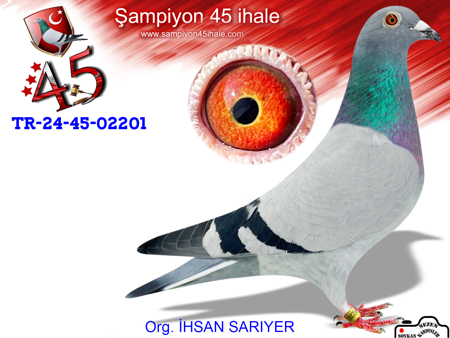 TR-24-45-02201 DİŞİ