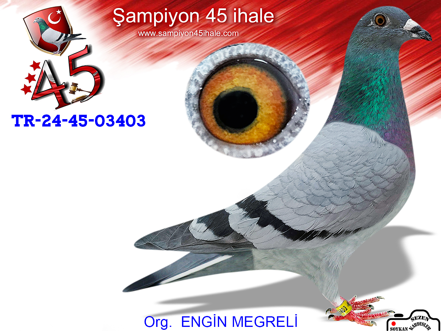 TR-24-45-03403 DİŞİ