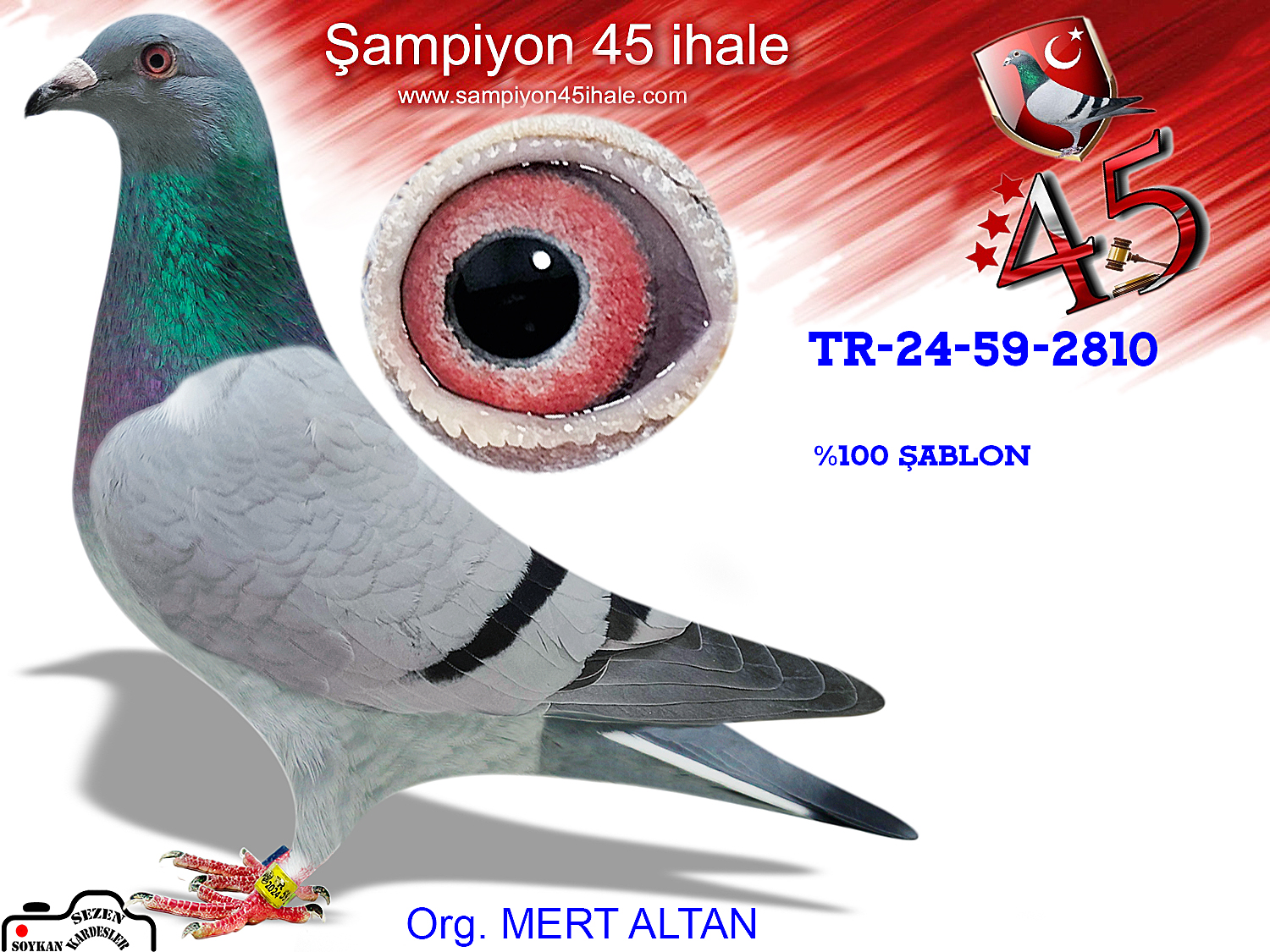 TR-24-59-2810 DİŞİ