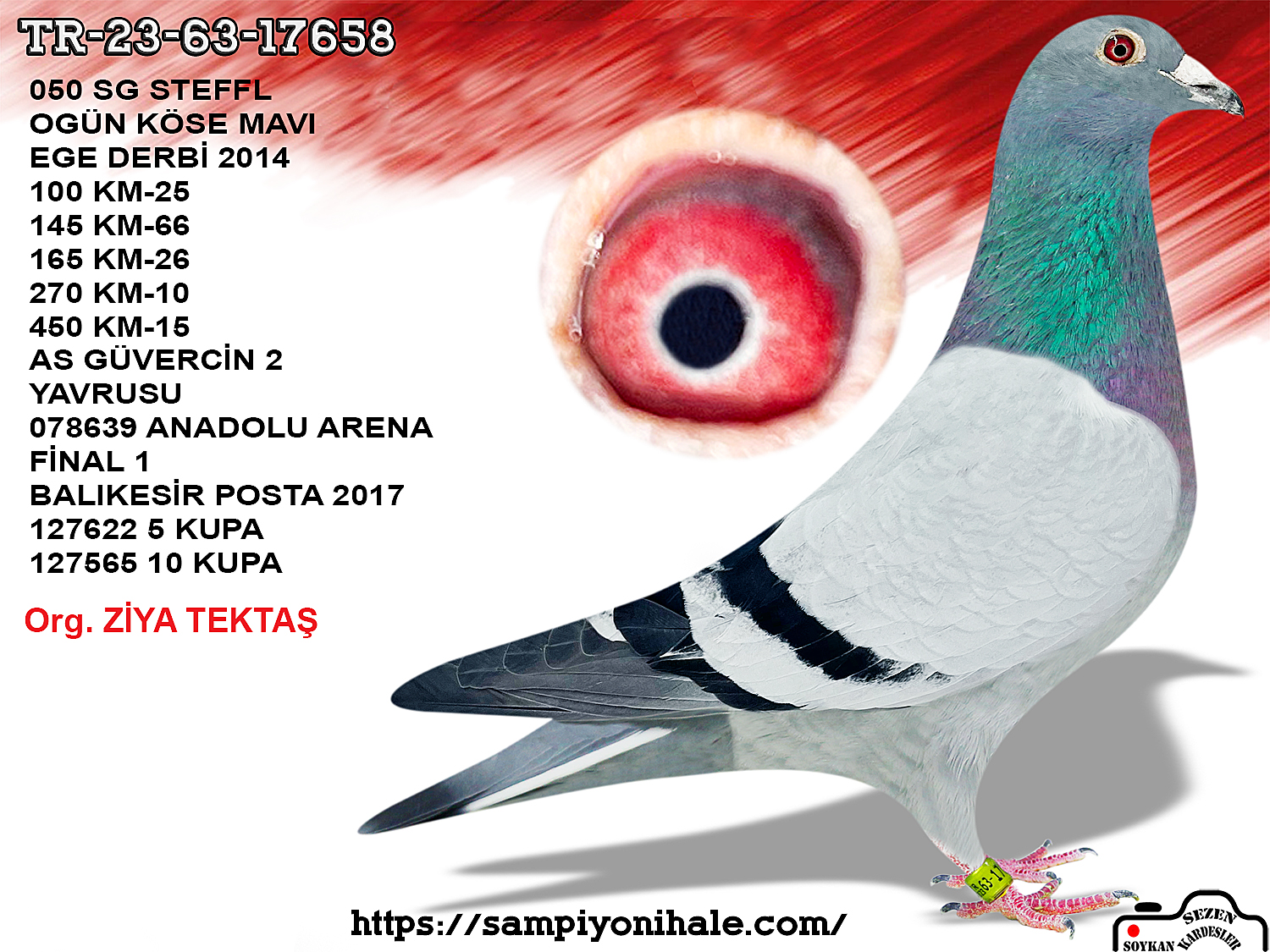 TR-23-63-17658 SG STEFFL SEZAR 54 MEŞHUR 050