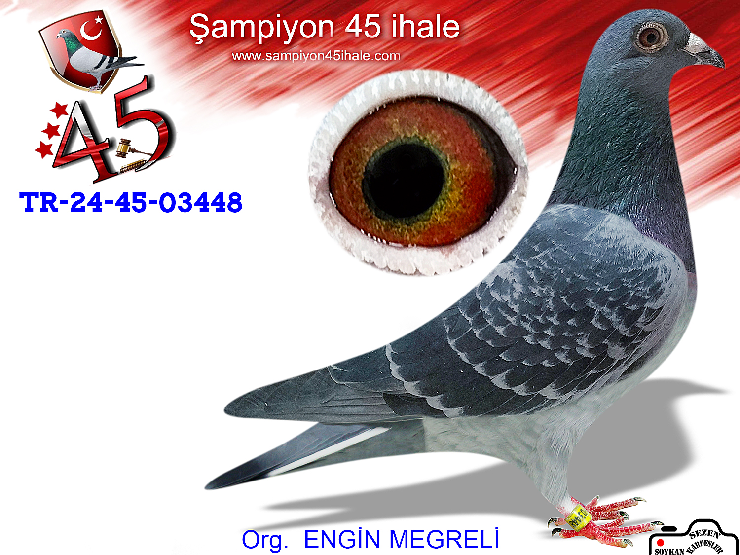 TR-24-45-03448 DİŞİ