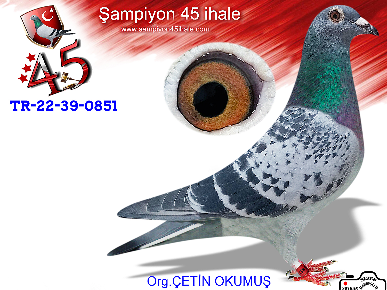 TR-22-39-0851 DİŞİ