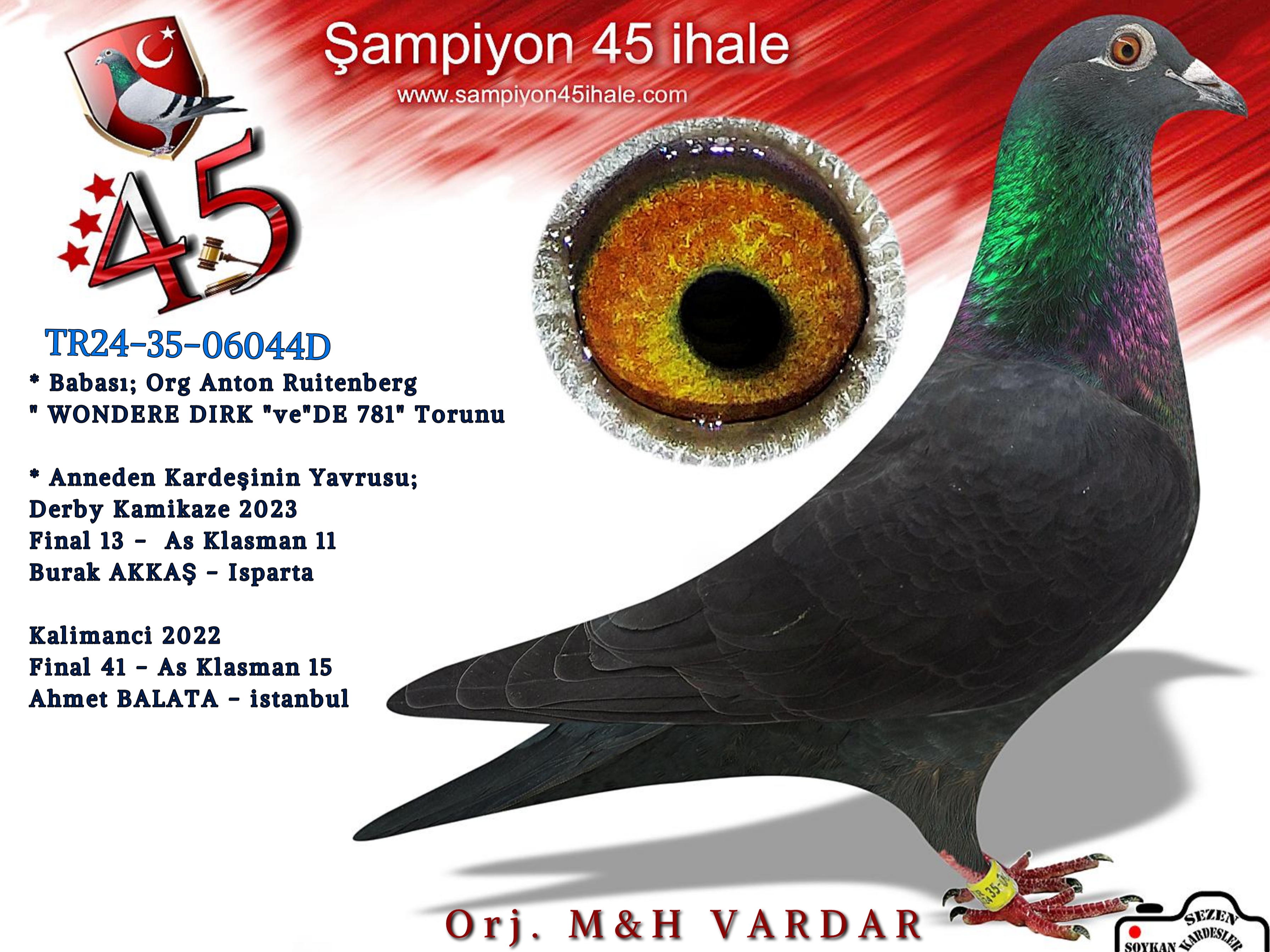 TR-24-35-06044 DİŞİ