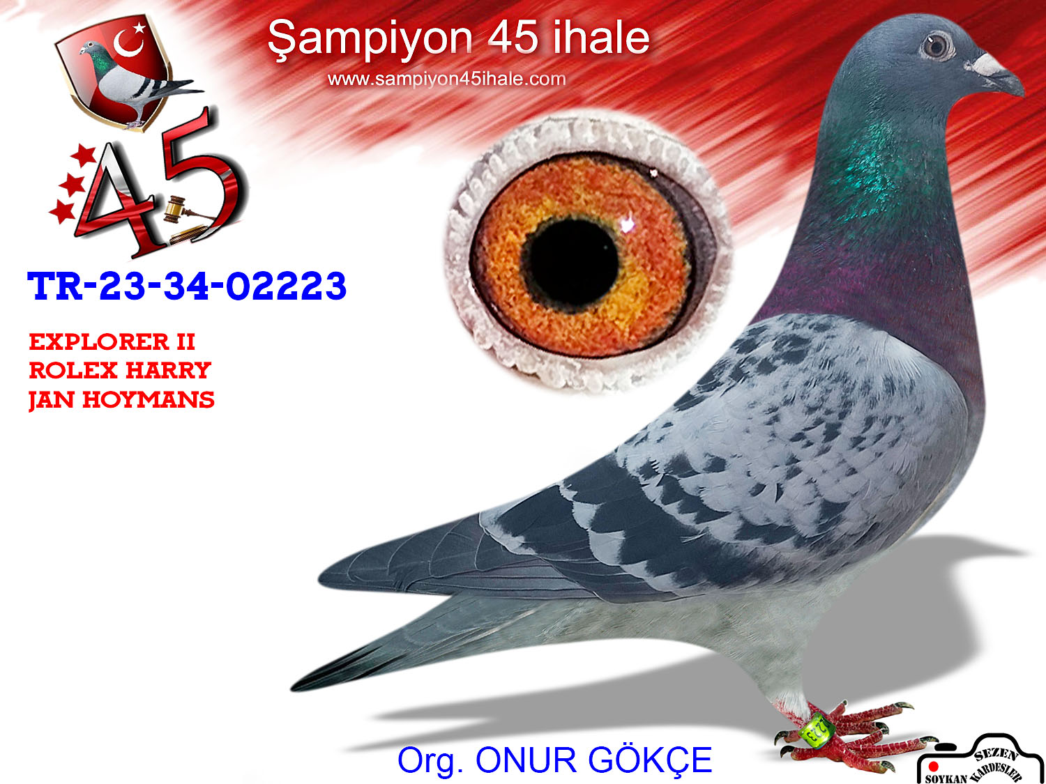 TR-23-34-02223 DİŞİ