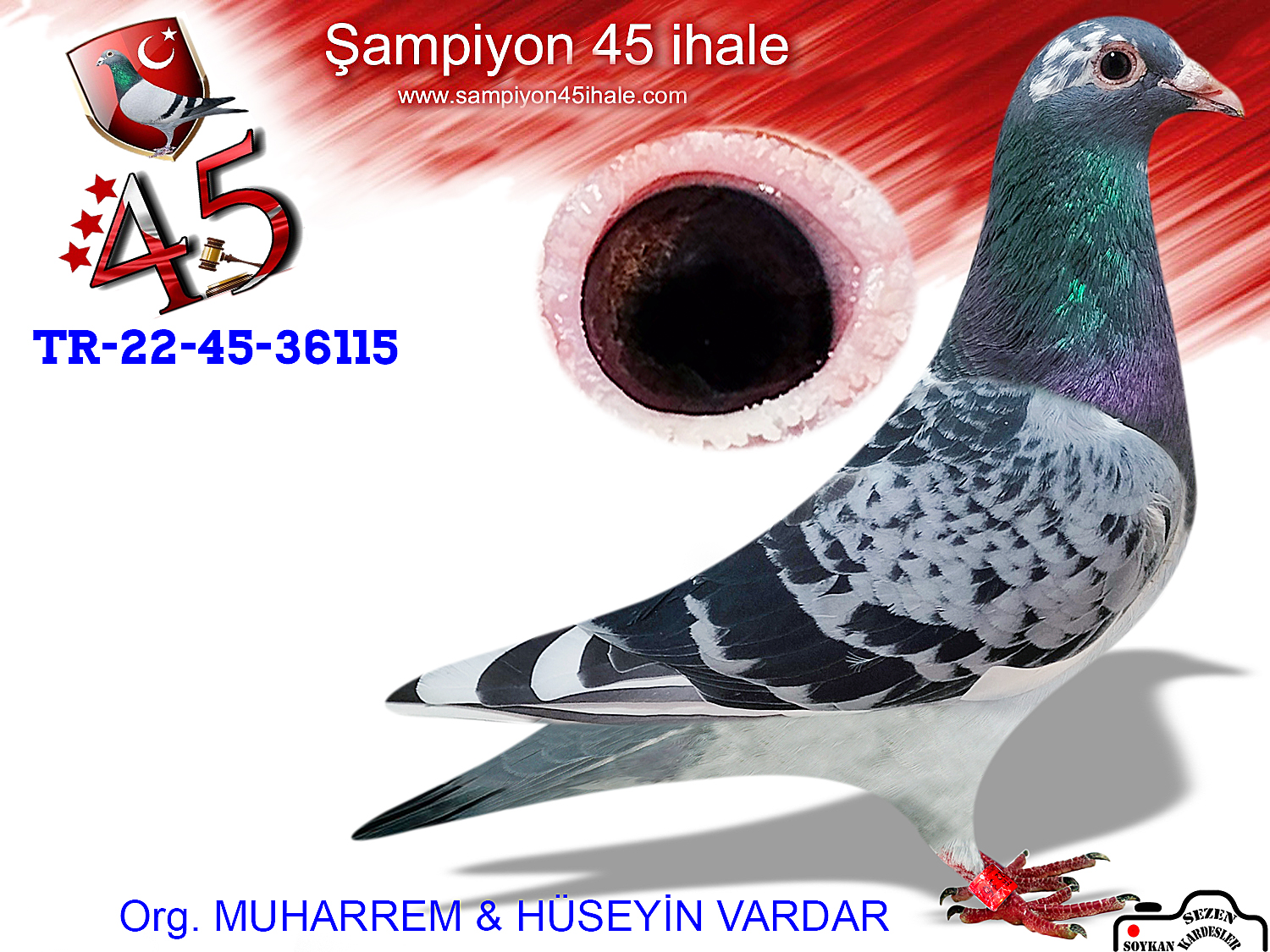 TR-22-45-36115 DİŞİ