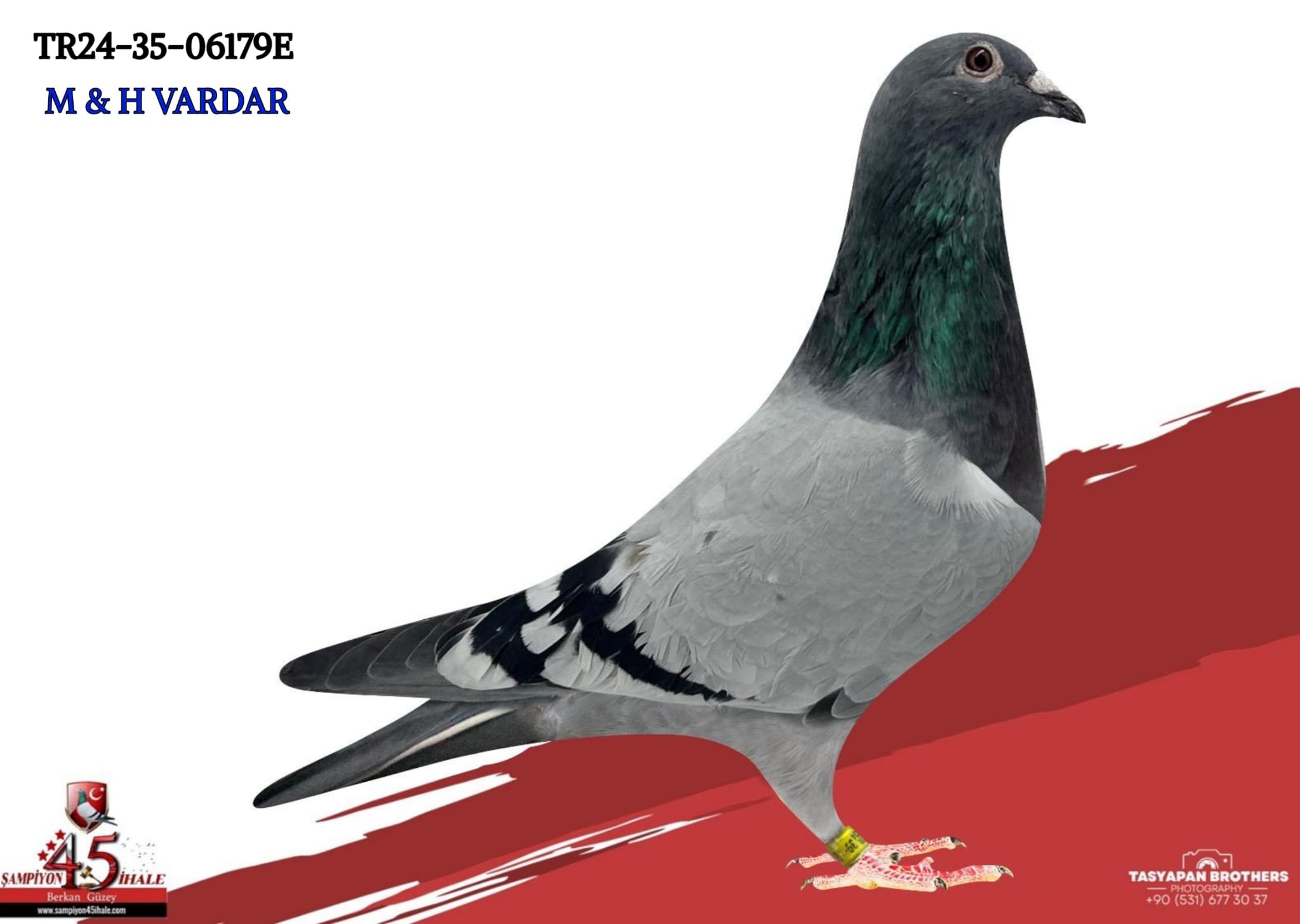 TR-24-35-06179 M & H VARDAR KARDEŞLER 