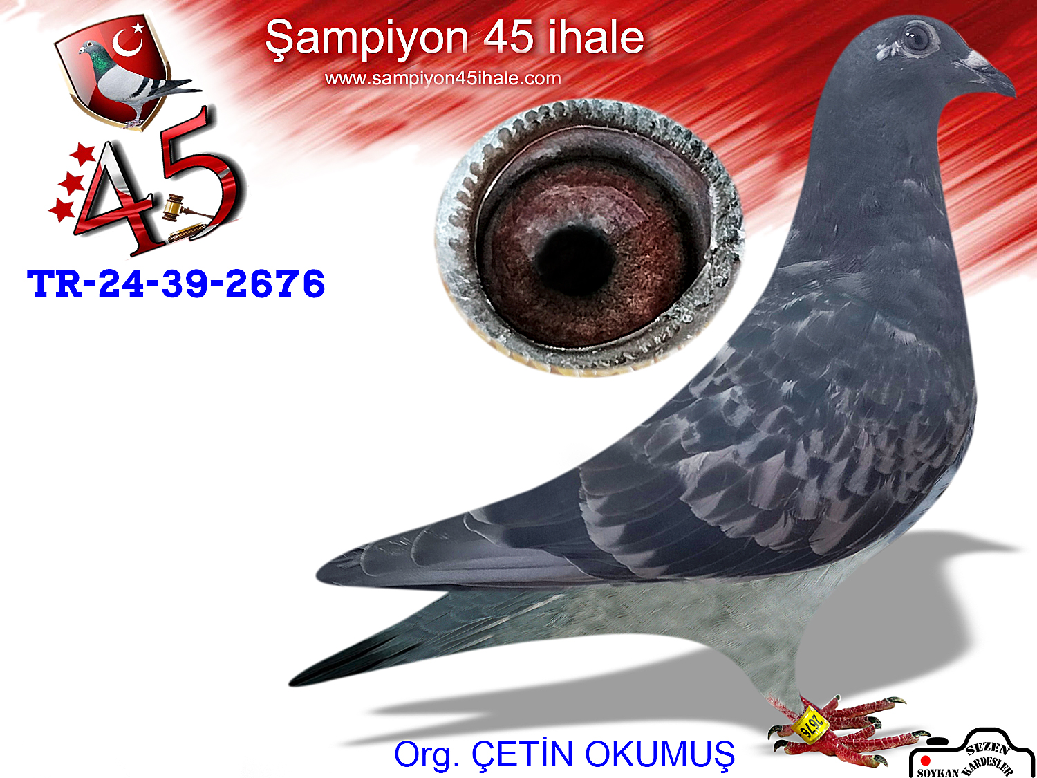 TR-24-39-2676 DİŞİ