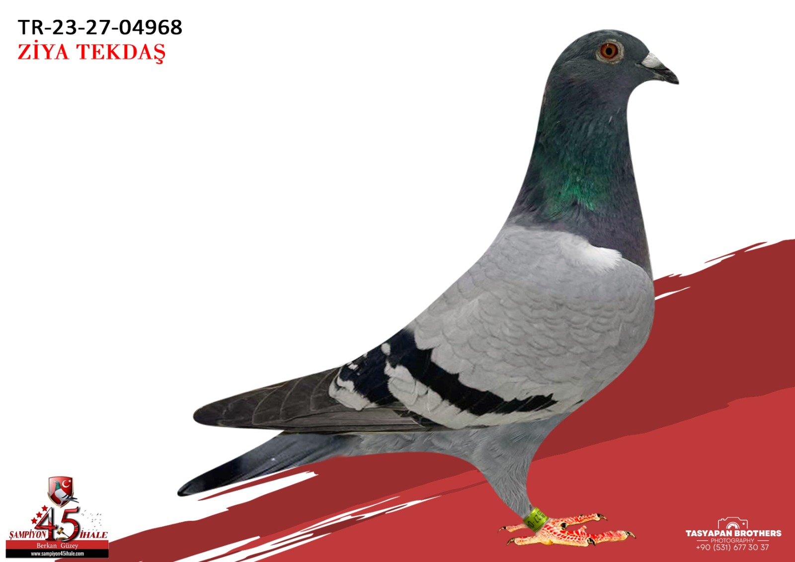 TR-23-27-04968 AFRİKAN 400 SG.STEFF 050 