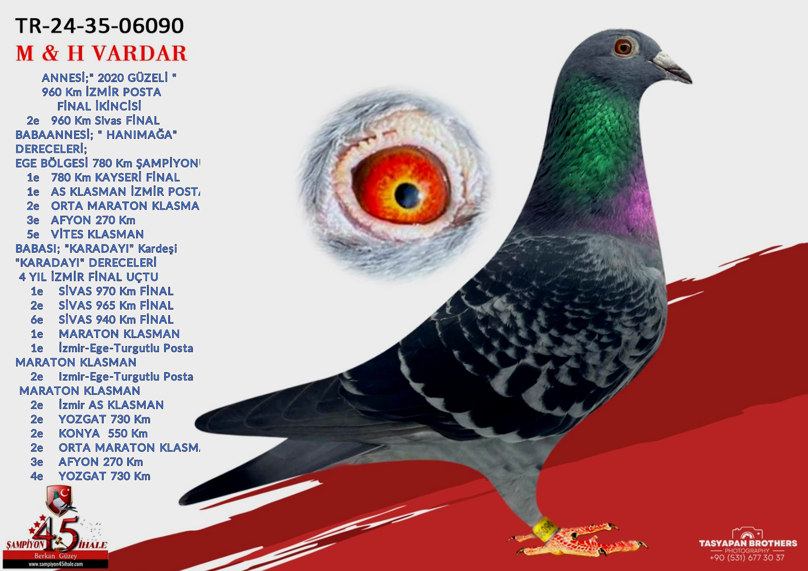 TR-24-35-06090 M & H VARDAR KARDEŞLER 2020 GÜZELİ