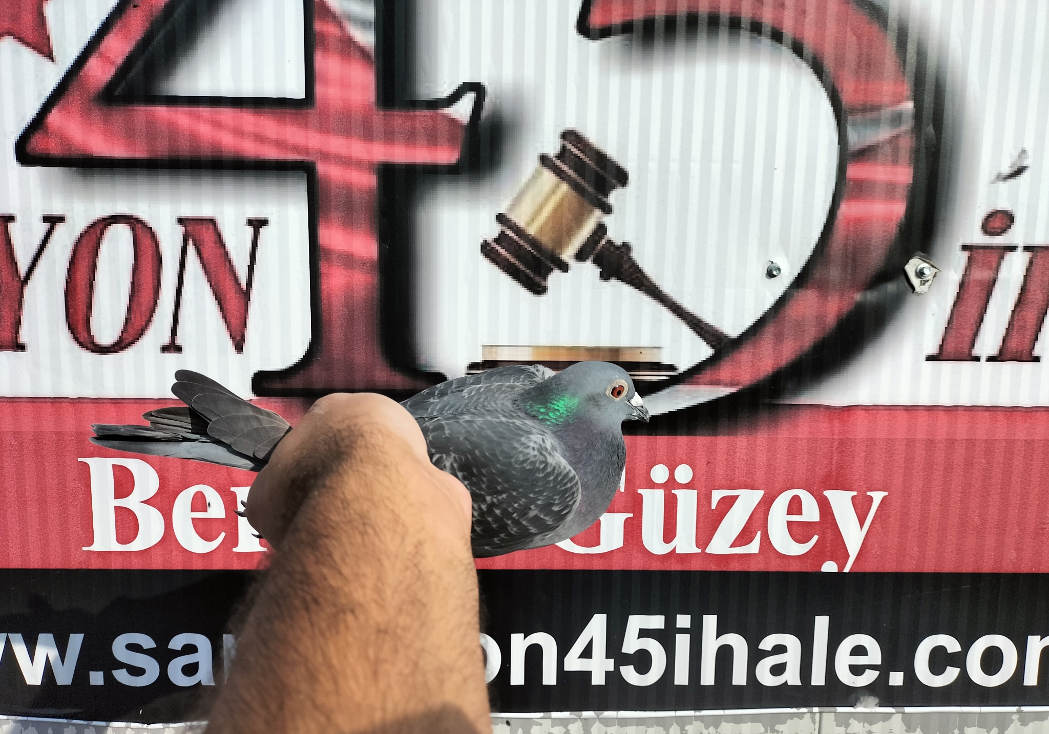 TR-24-35-01015 VAN HEE HARRY ANNESİ 2 KUPALI