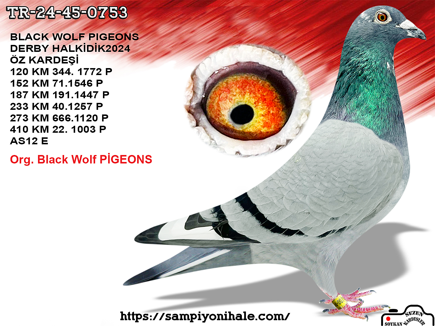 TR-24-45-0753 FİGO REYNART HURRİCAN 51 