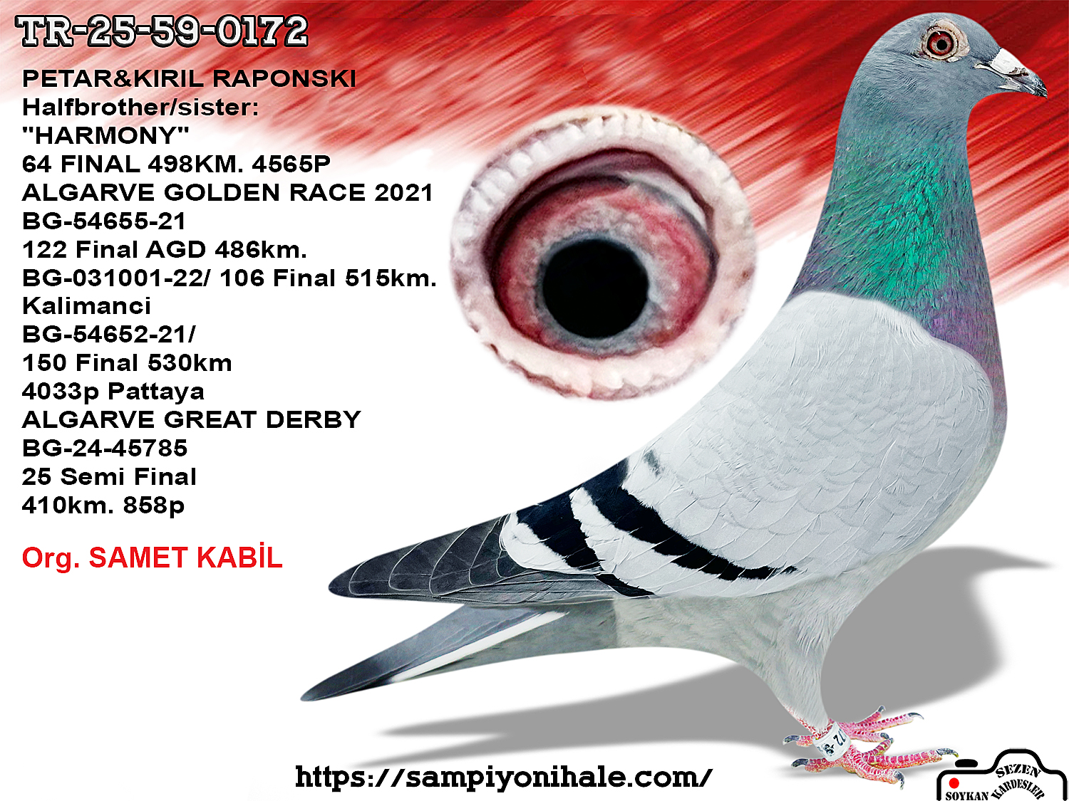 TR-25-59-0172 PETAR&KIRIL RAPONSKI 