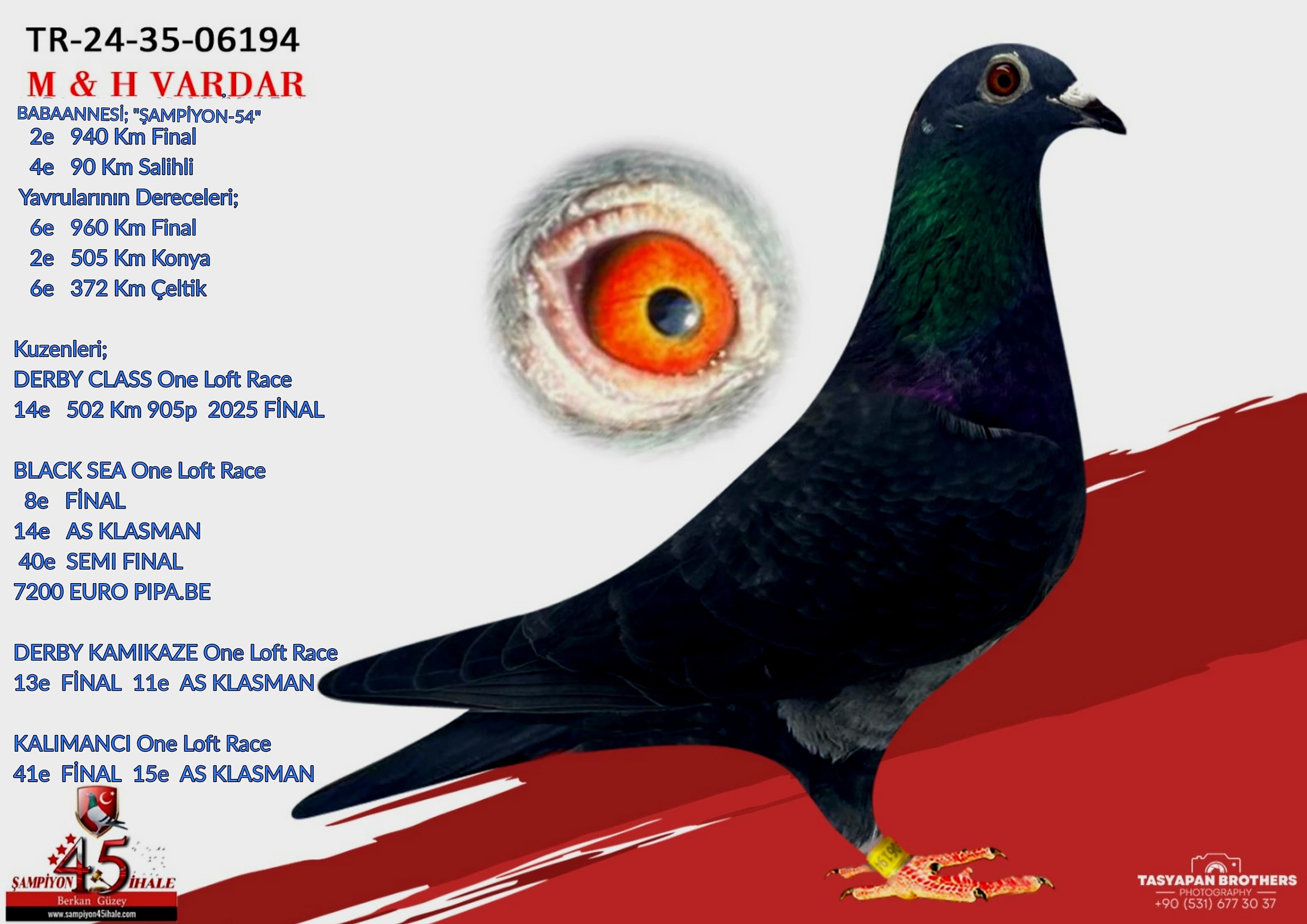 TR-24-35-06194 M & H VARDAR KARDEŞLER 