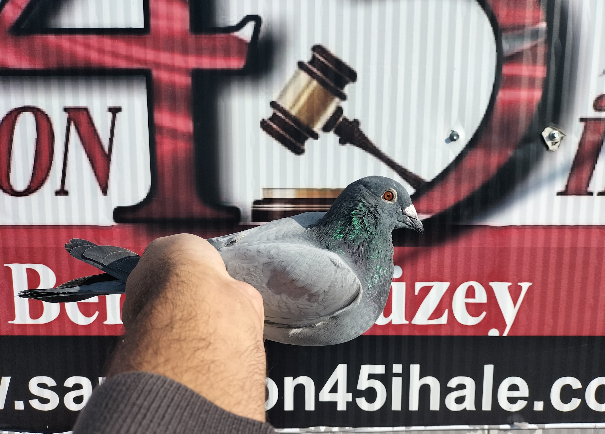 TR-25-63-16663 ORG AHMET DEMİR