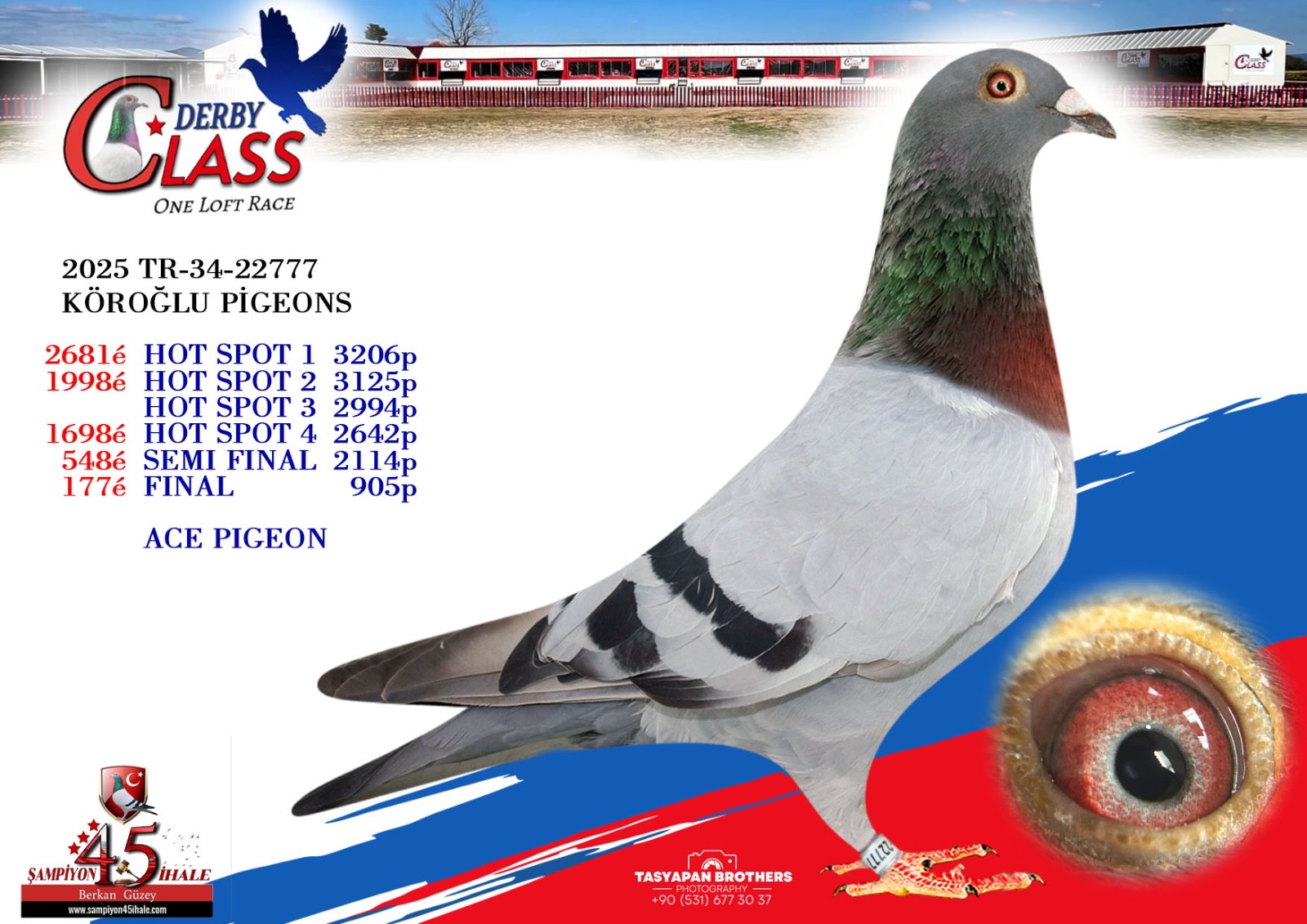 TR-34-22777 KÖROĞLU PİGEONS
