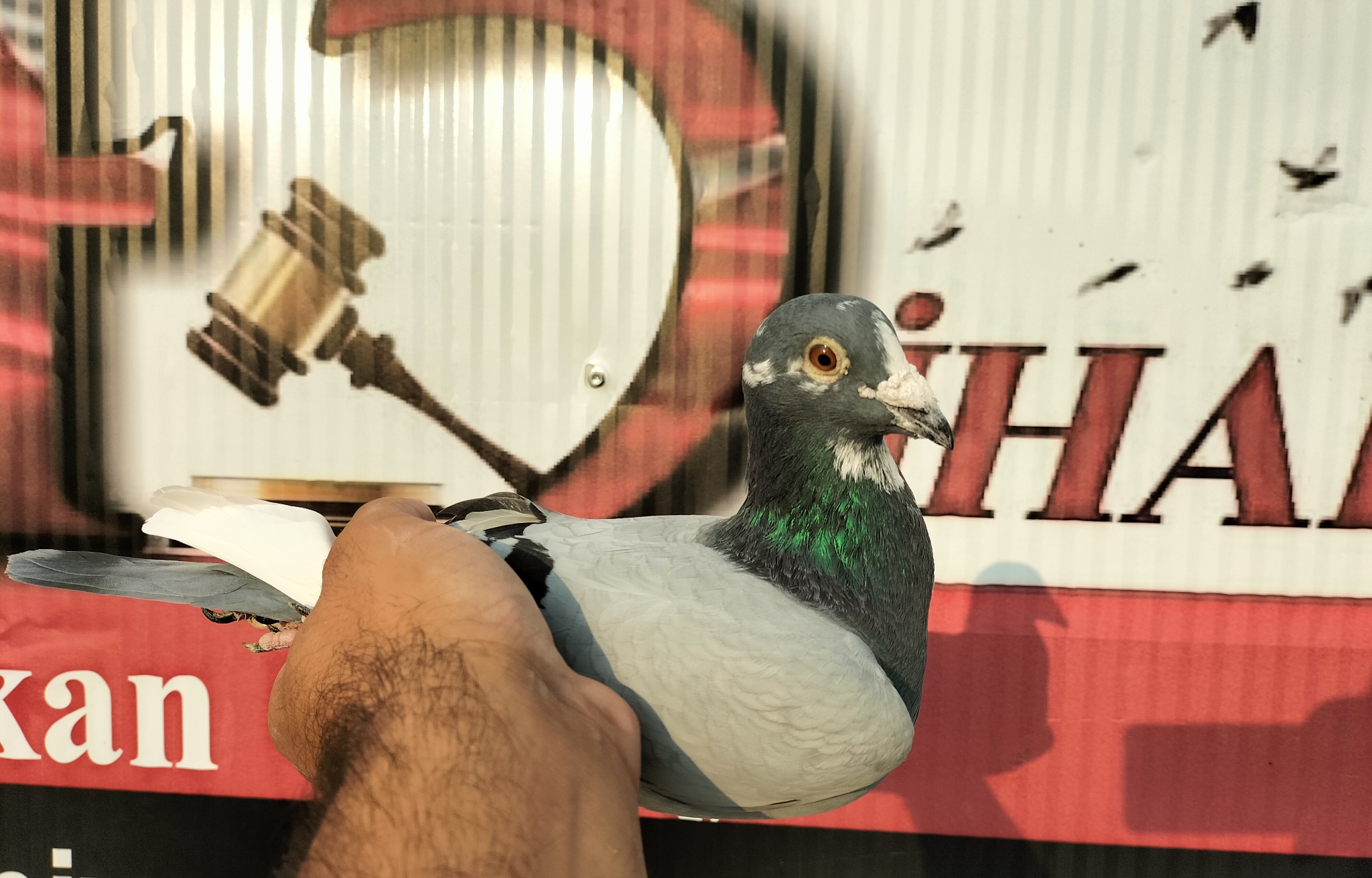 TR21-162316 HOREMANS JANSSEN 