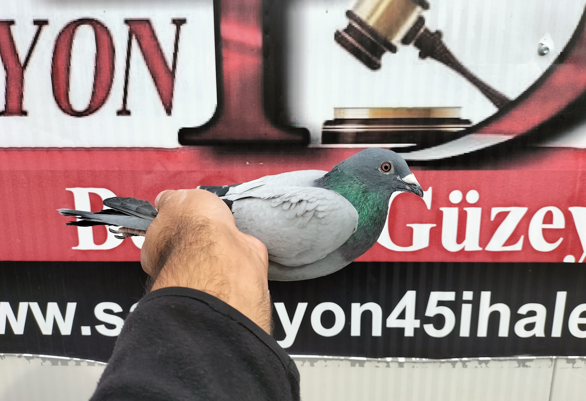 TR-25-45-15135 ORG YUSUF EGRİBOYUN 