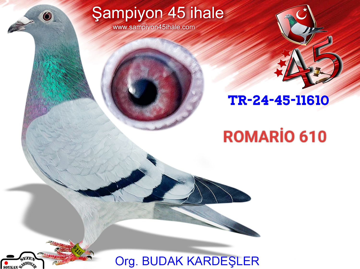 TR-24-45-11610 DİŞİ