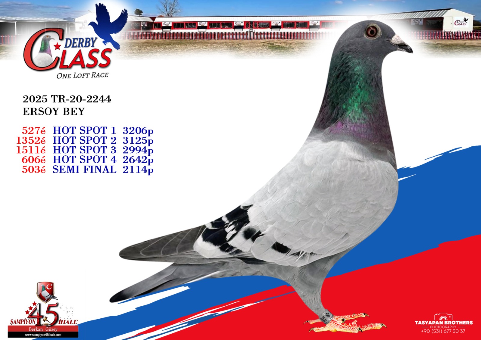 TR-20-2244 ERSOY BEY