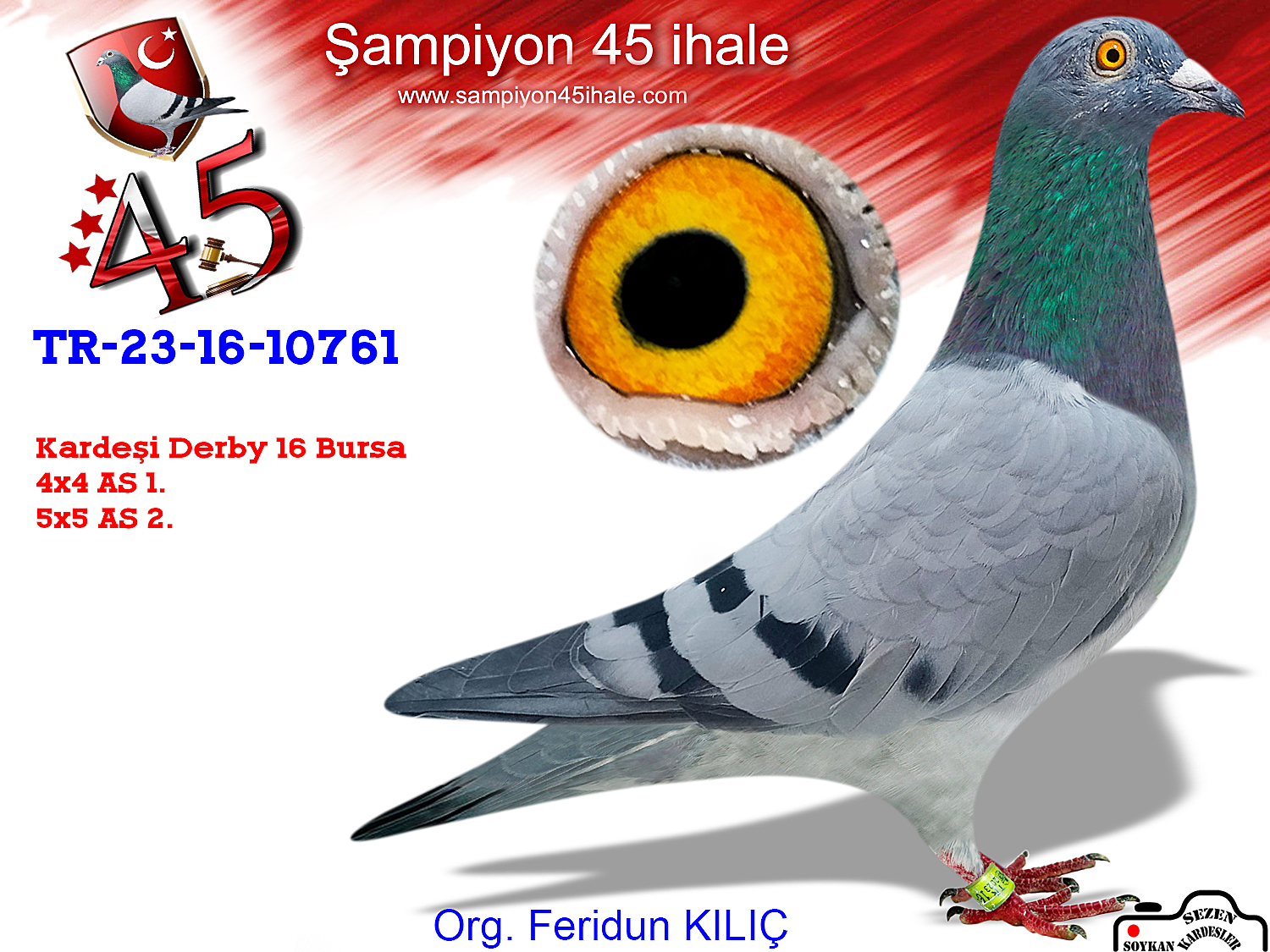 TR-23-16-10761 DİŞİ