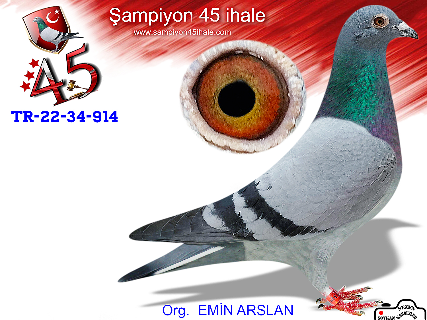 TR-22-34-34914 DİŞİ