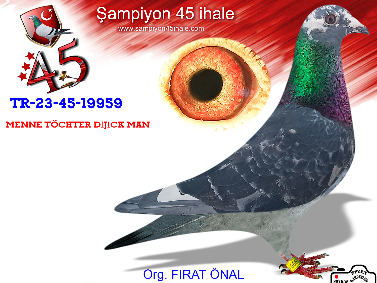 TR-23-45-19959 DİŞİ