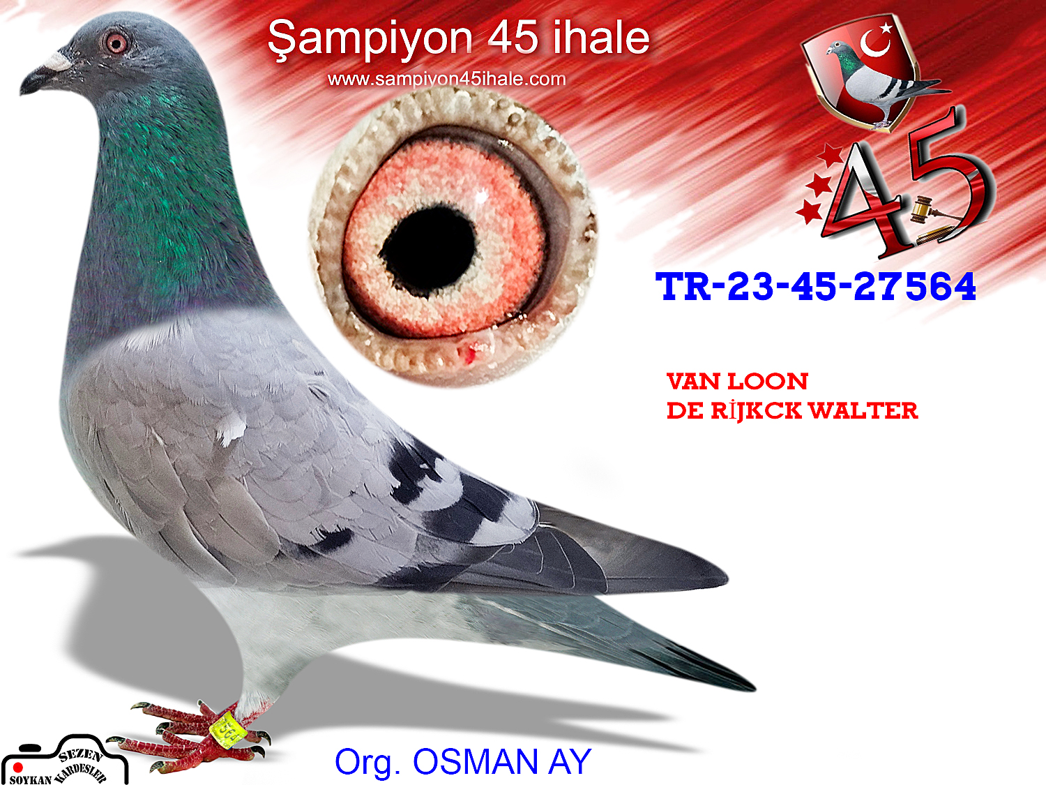 TR-23-45-27564 DİŞİ