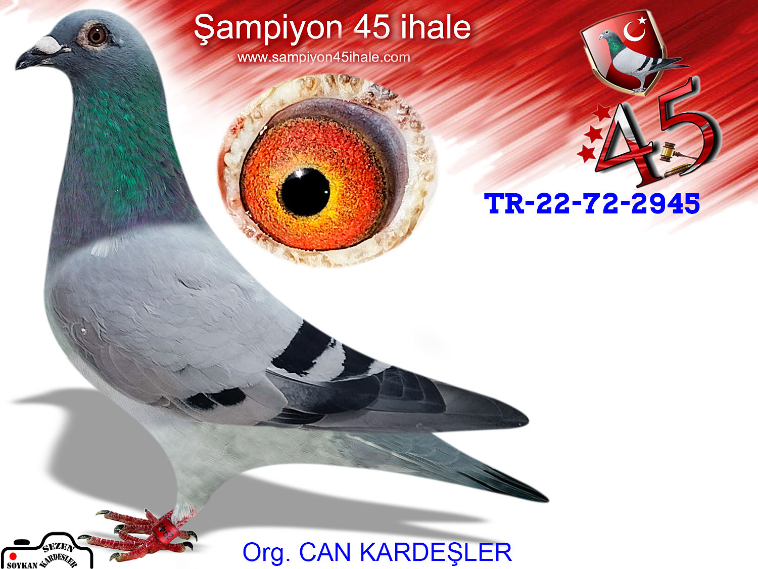 TR-22-72-2945 DİŞİ