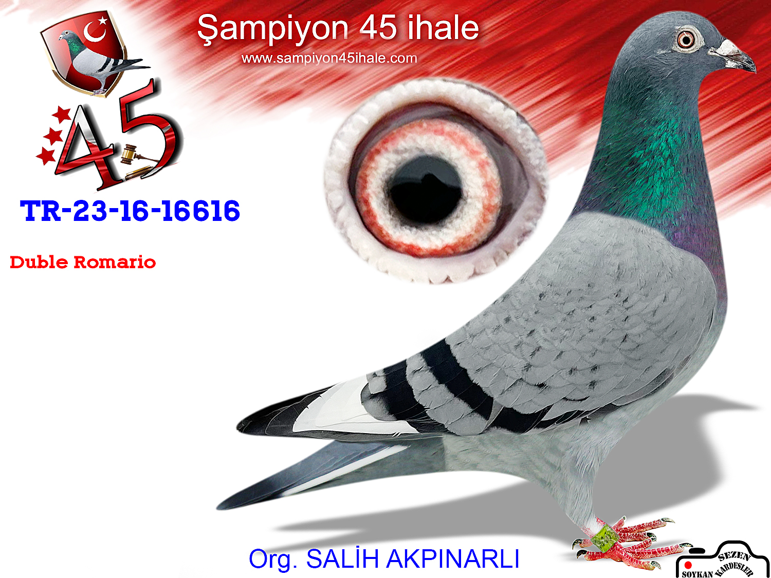 TR-23-16-16616 DİŞİ