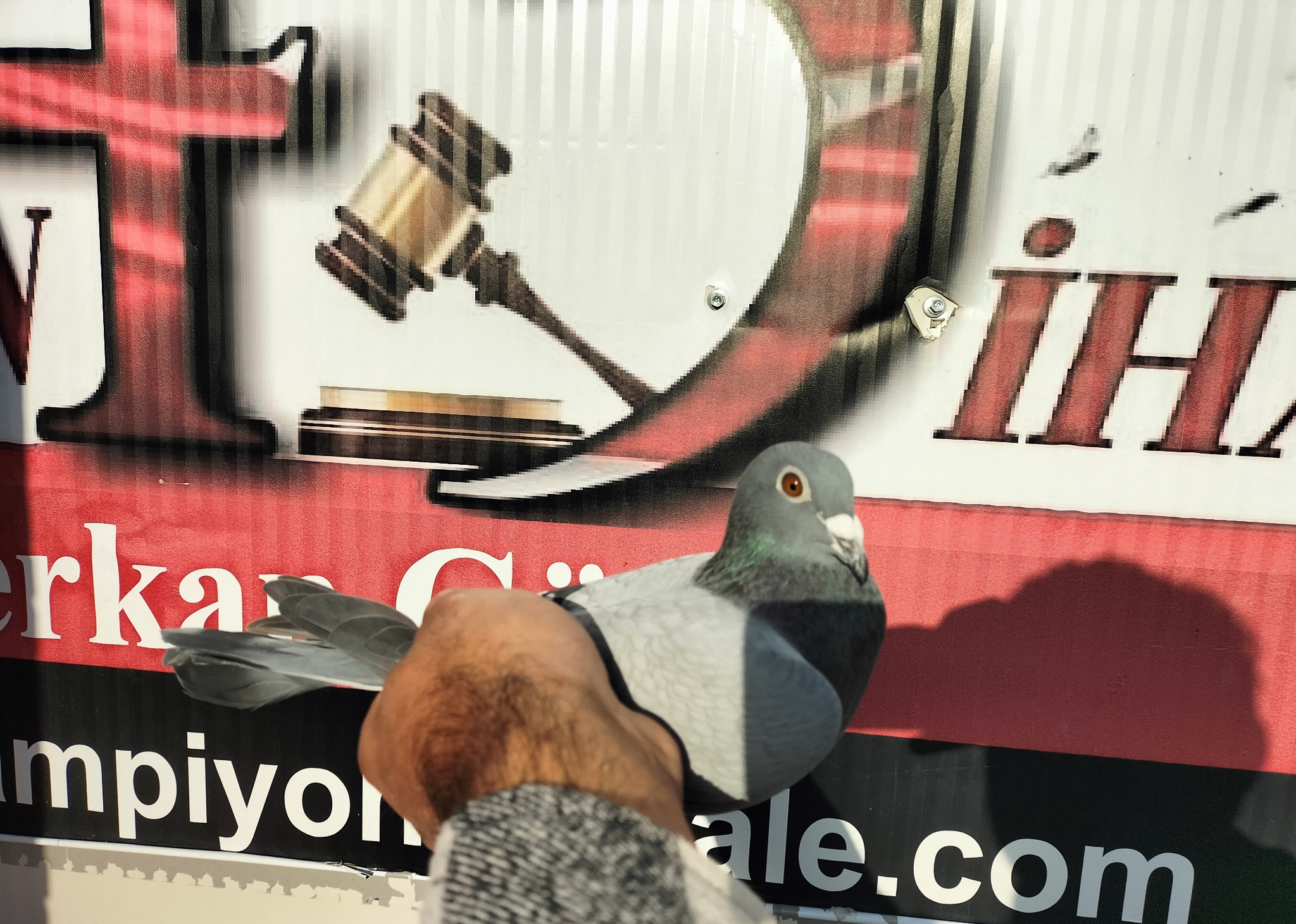 TR-25-35-07934 WOLVERİNE M&H VARDAR KARDEŞLER 