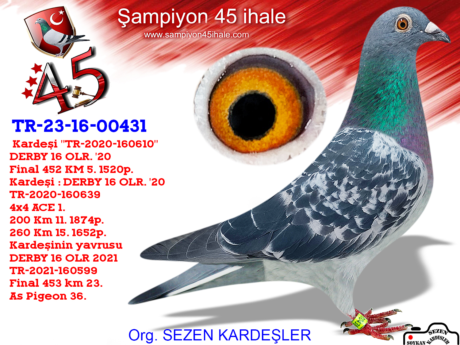 TR-23-16-00431 DİŞİ