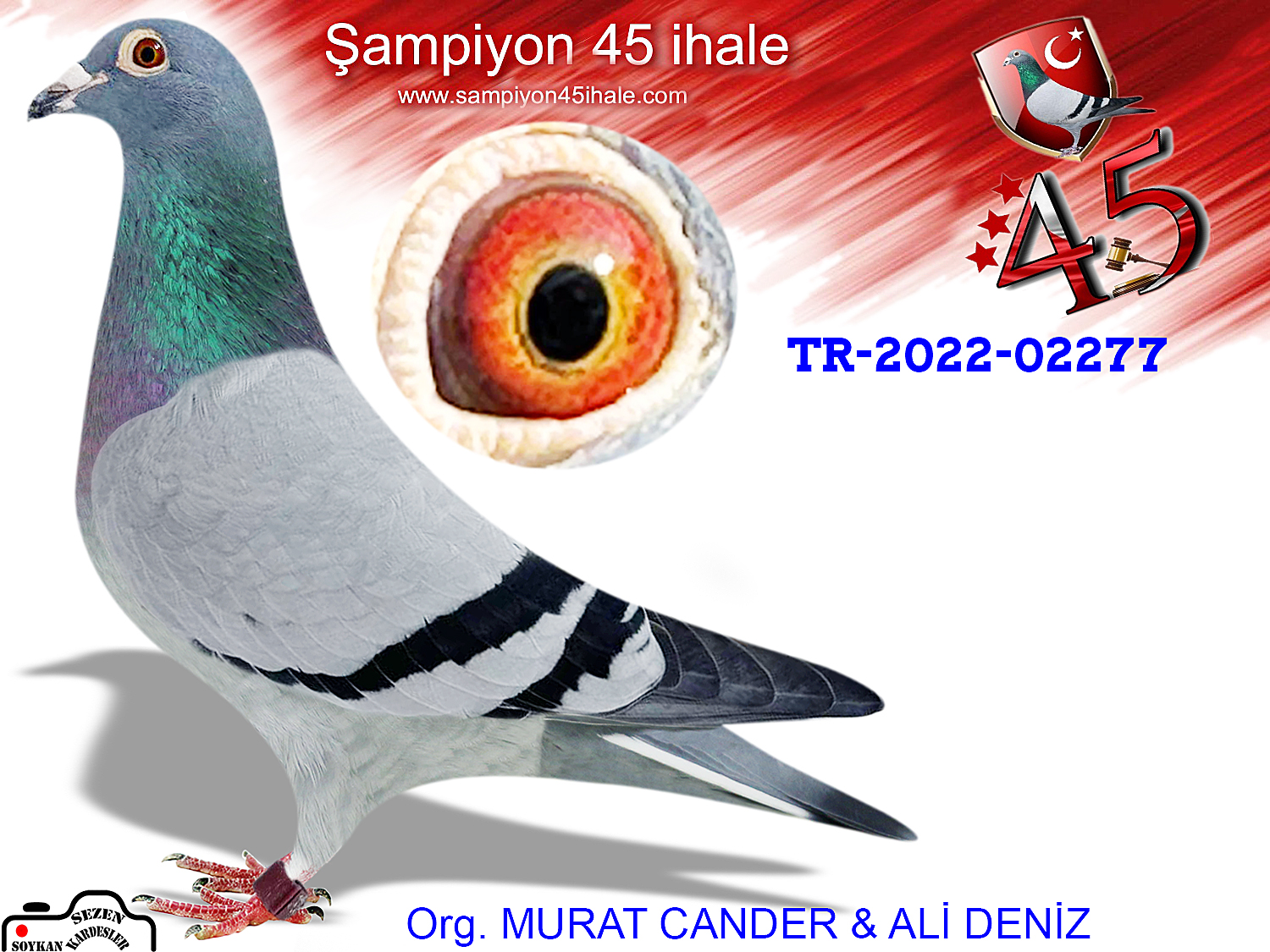 TR-22-45-02277 DİŞİ