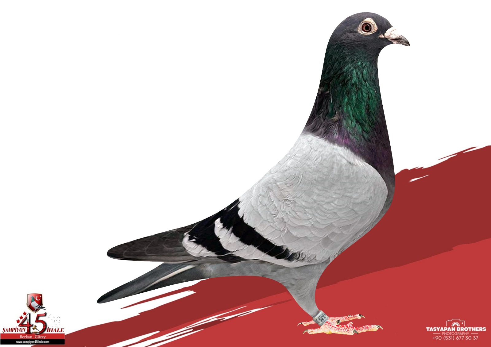 TR-20-100861 PRANGE DELBAR HERBERT WİEDEN