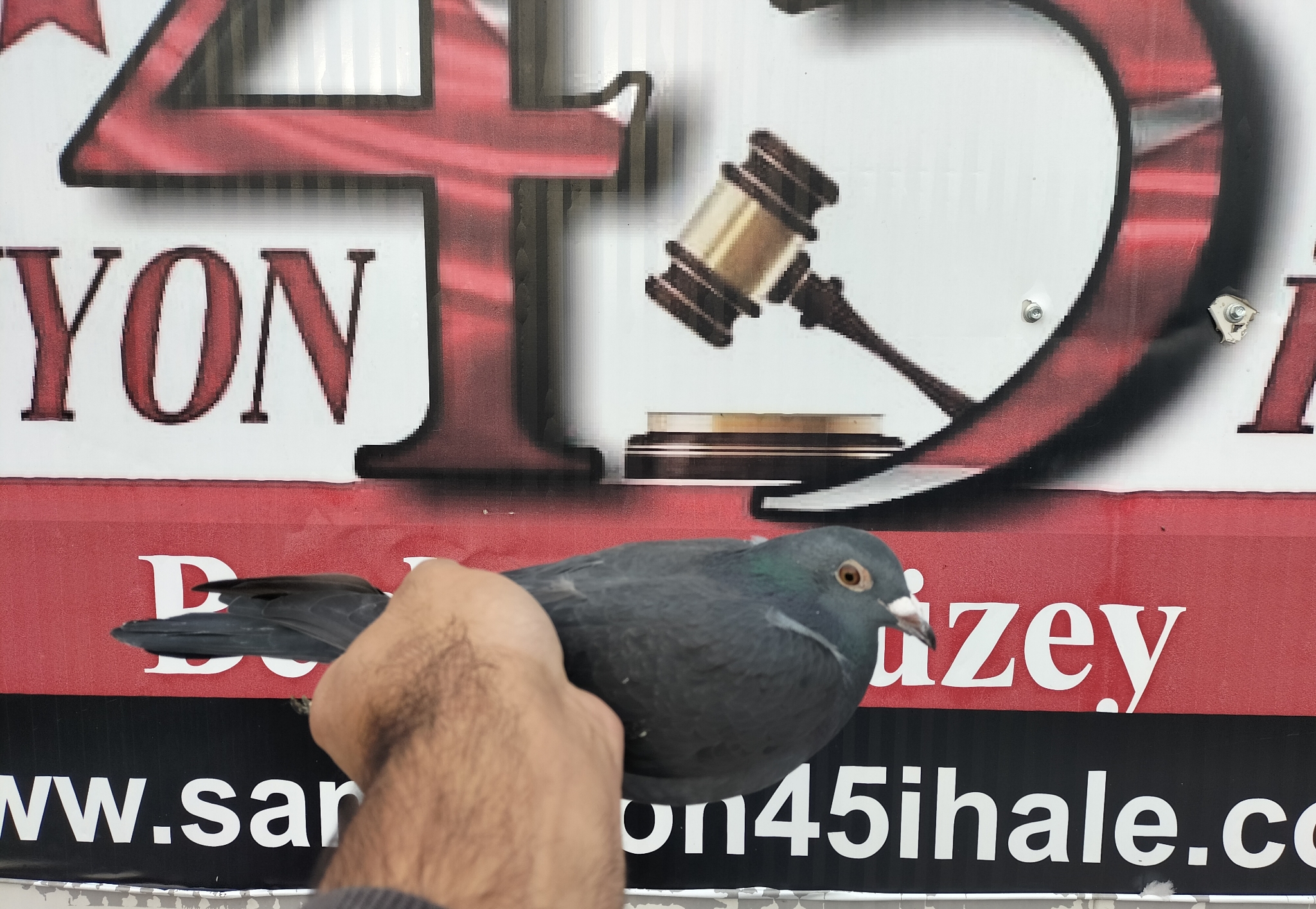 TR-25-45-15113 ORG YUSUF EGRİBOYUN 