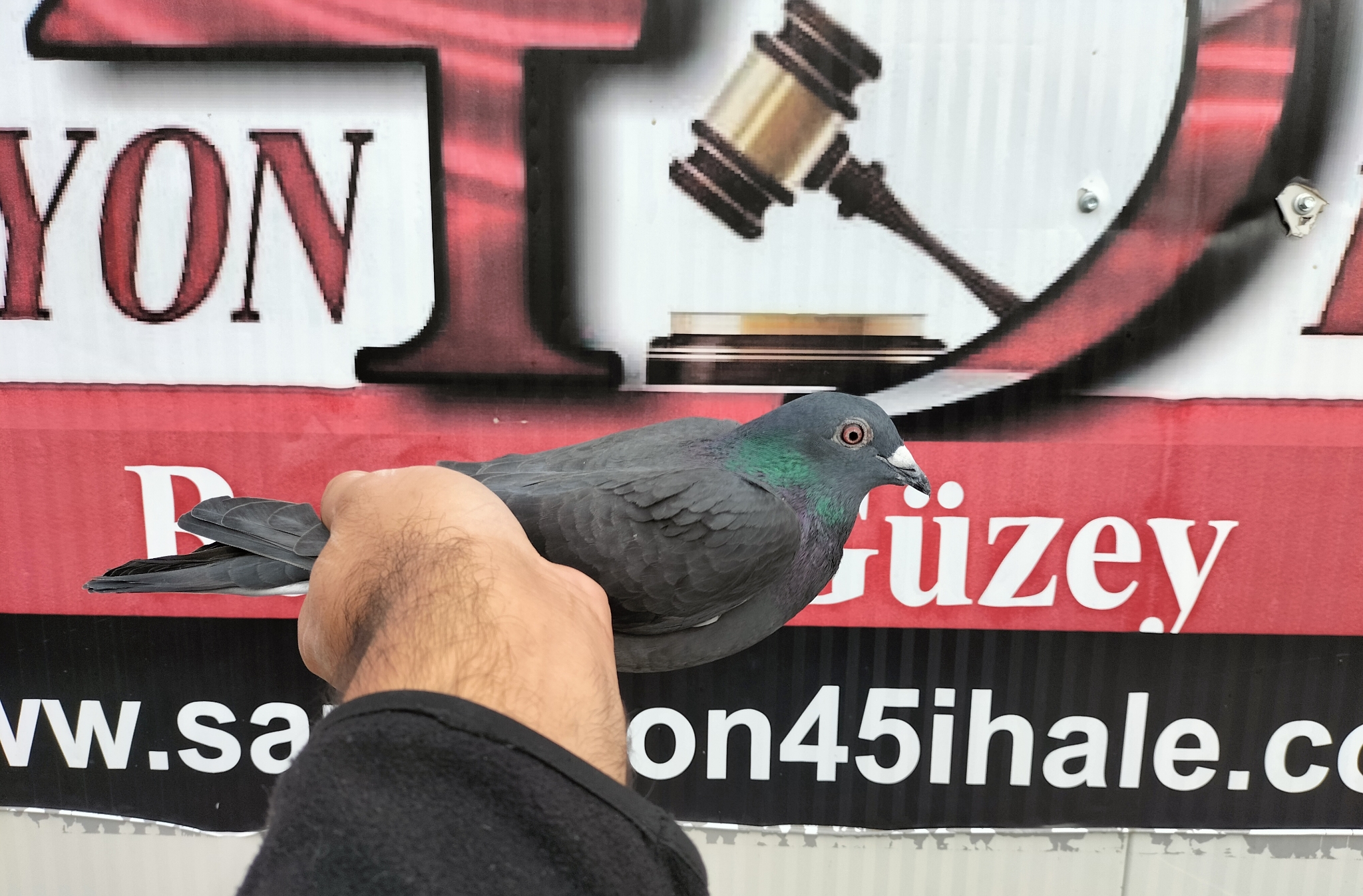 TR-25-45-15089 ORG YUSUF EGRİBOYUN 