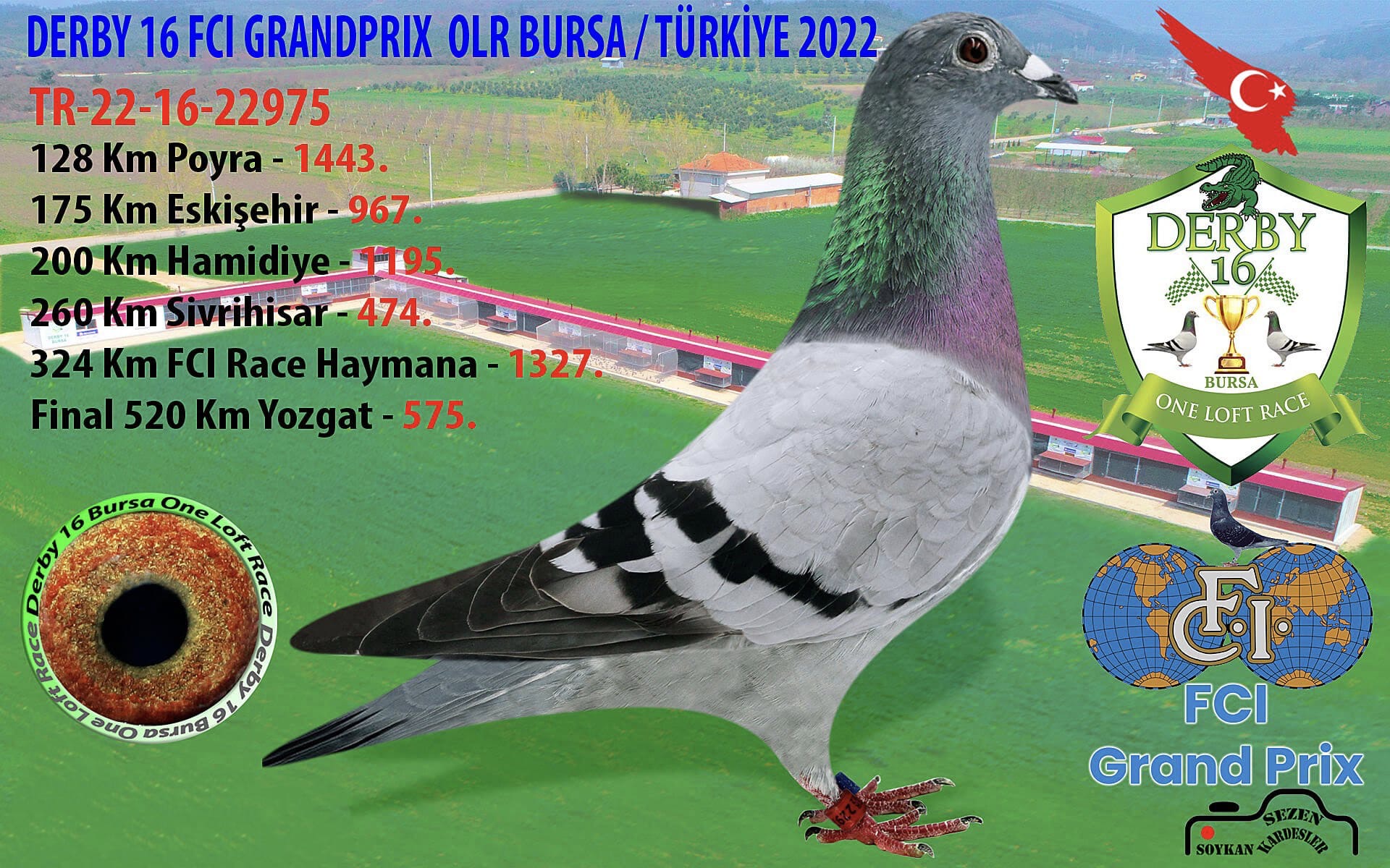 TR-22-16-22975 BASUA BATENBURG MERVE