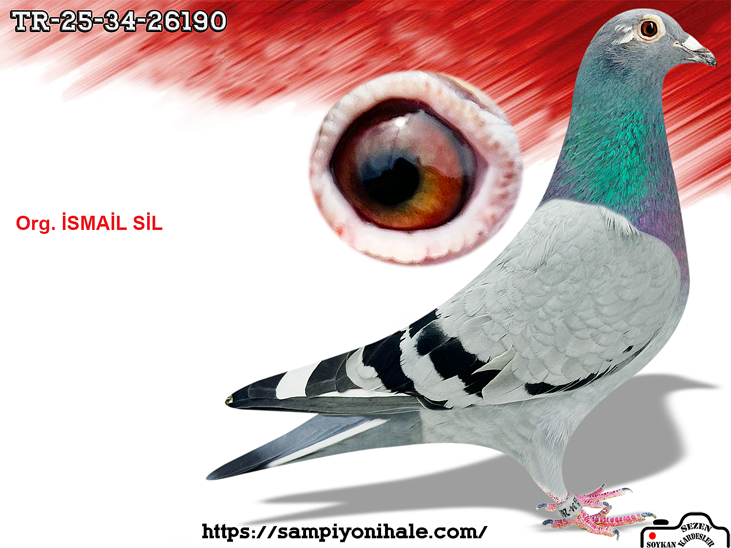 TR-25-34-26190 POKERFACE JOSSEF VAN DYCK DİRK 