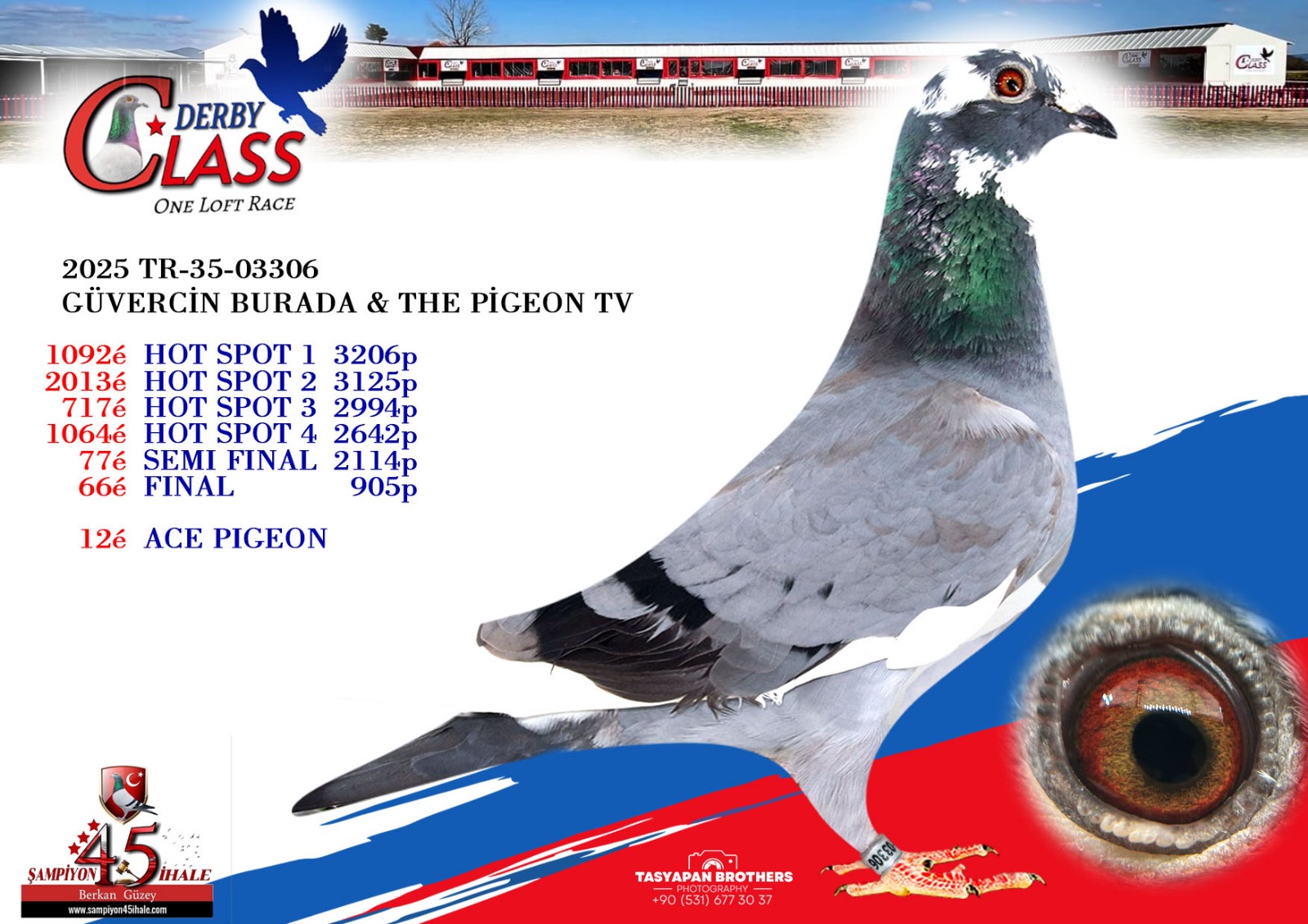 TR-35-03306 GÜVERCİN BURADA THE PİGEON TV