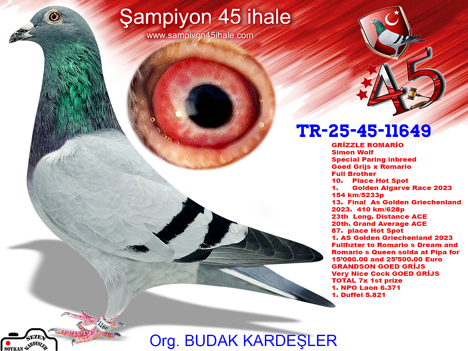 TR-25-45-11649 GRİZZLE ROMARİO SİMON WOLF