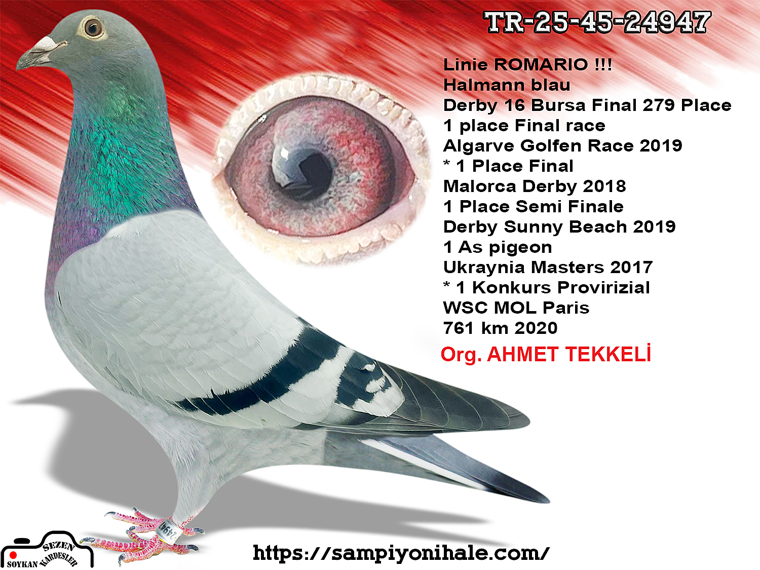 TR-25-45-24947 ROMARİO JÖRG HALLMANN