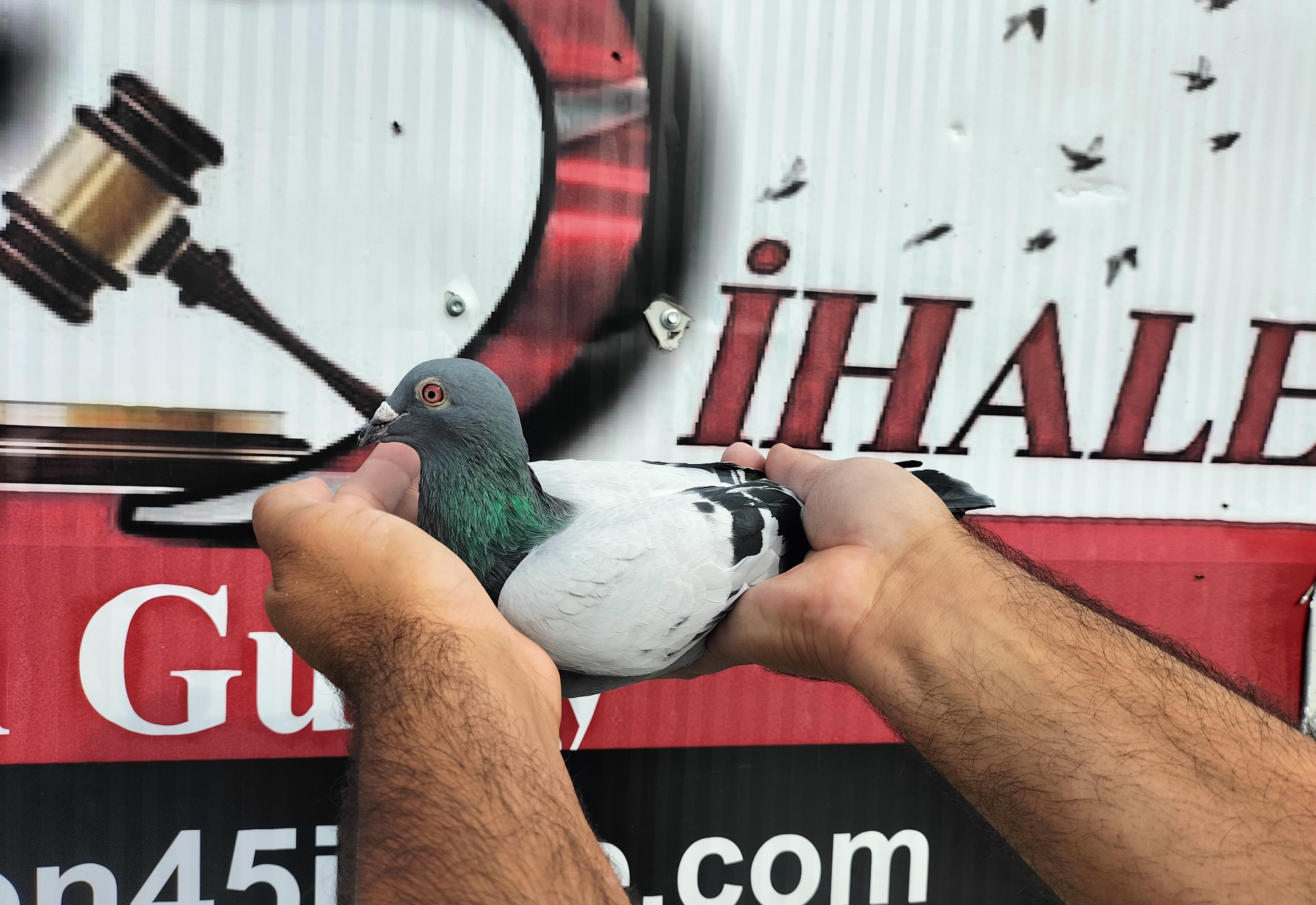 TR-25-16-20452 ROMARİO NAPOLYON ROMEO 