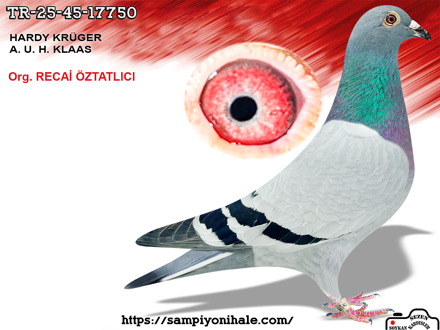 TR-25-45-17750 HARDY KRÜGER A.U.H. KLAAS