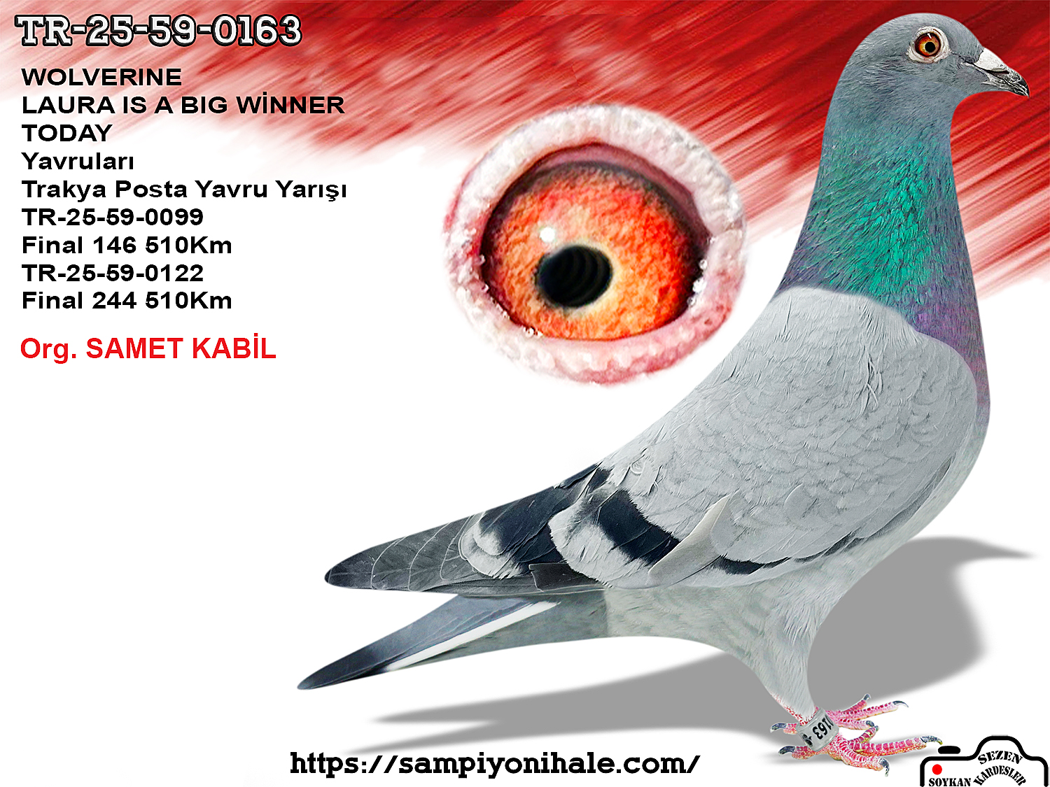 TR-25-59-0163 WOLVERİNE MIKE GANUS 