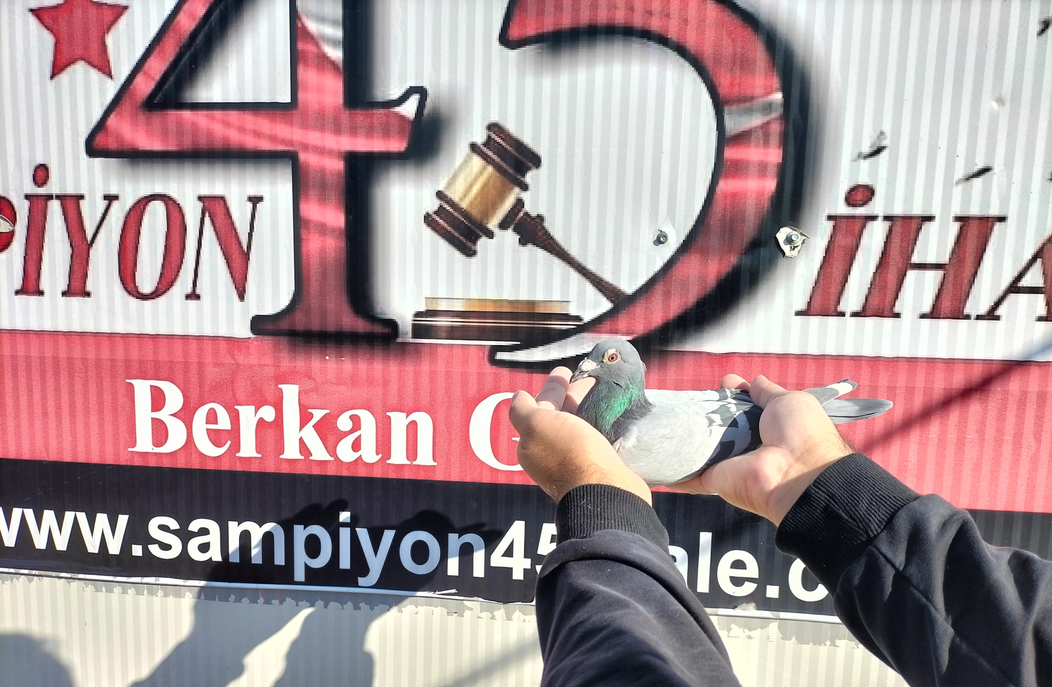 TR-20-027520 ORG ÖMER YAŞAR